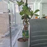 آپارتمان  114 متر هروی